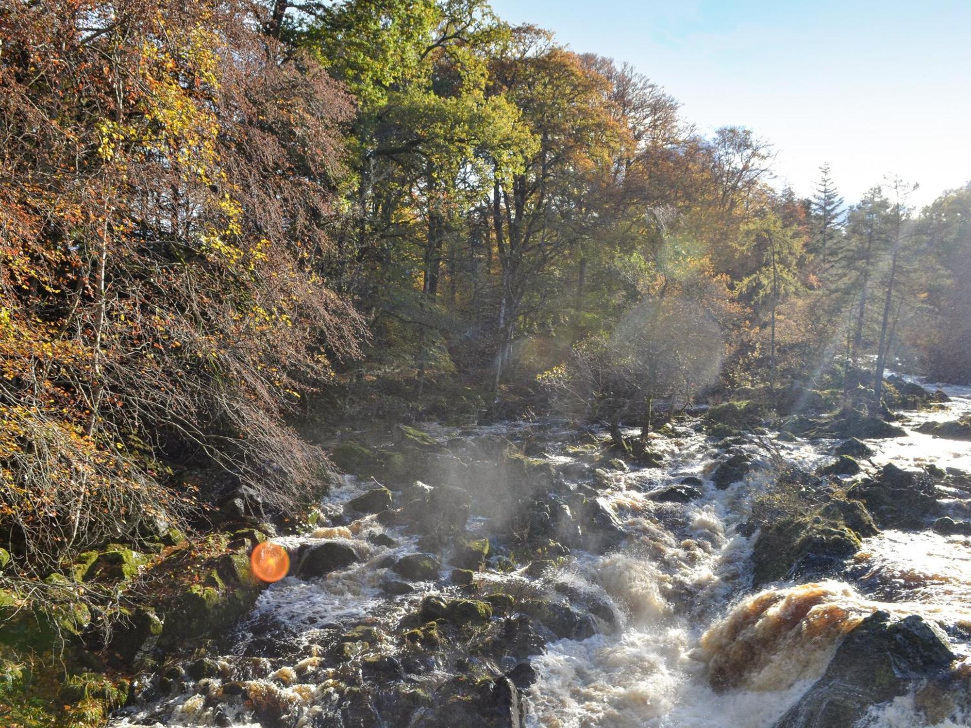 Toll Bridge Lodge Banchory Luaran gambar